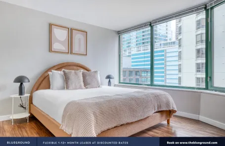 1 Bedroom Streeterville Apartment
