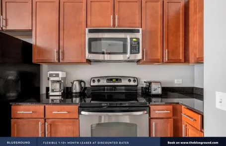 1 Bedroom Chicago Loop Apartment
