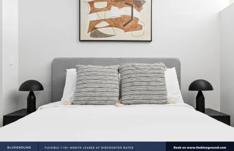 1 Bedroom South Loop Apartment