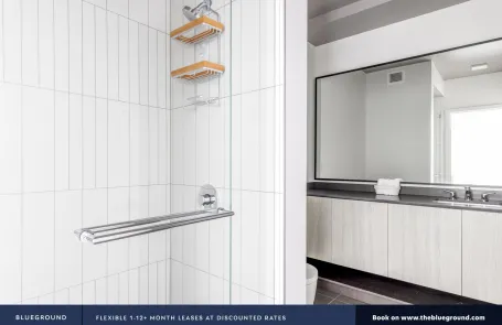 1 Bedroom South Loop Apartment