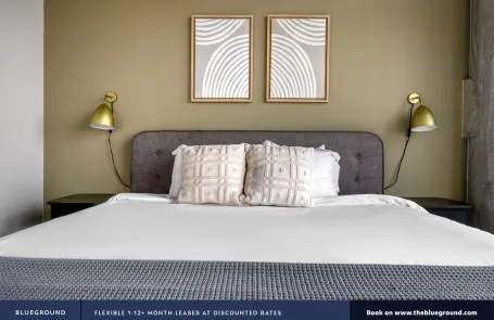 2 Bedroom South Loop Apartment