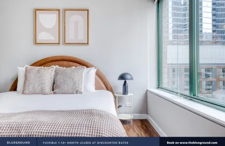1 Bedroom Streeterville Apartment