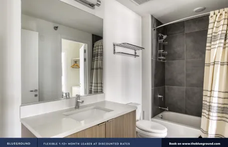 1 Bedroom South Loop Apartment