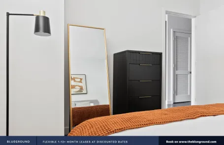 1 Bedroom South Loop Apartment