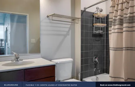 2 Bedroom South Loop Apartment