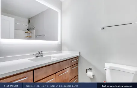 1 Bedroom Streeterville Apartment