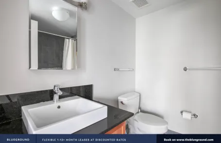 1 Bedroom Chicago Loop Apartment