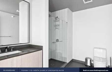 1 Bedroom South Loop Apartment