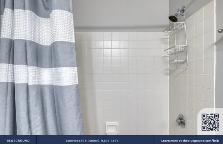 2 Bedroom Streeterville Apartment
