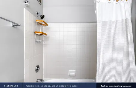 1 Bedroom Streeterville Apartment