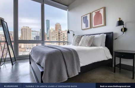 2 Bedroom South Loop Apartment