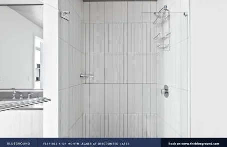 1 Bedroom South Loop Apartment