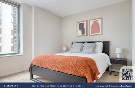 2 Bedroom Streeterville Apartment