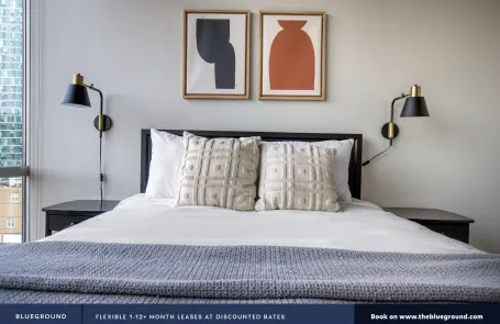 2 Bedroom South Loop Apartment