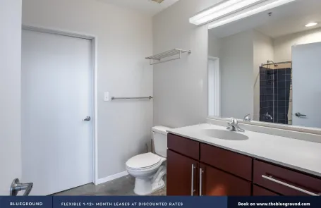 2 Bedroom South Loop Apartment