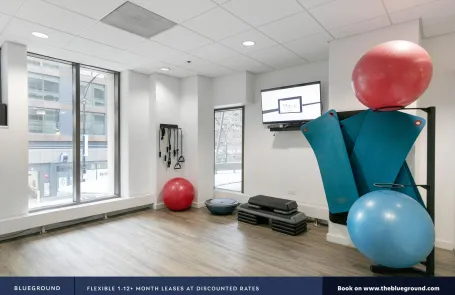 Studio Streeterville Apartment