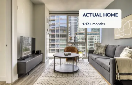 1 Bedroom South Loop Apartment