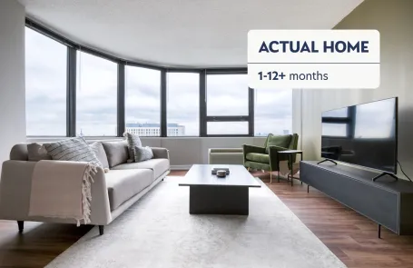 1 Bedroom South Loop Apartment