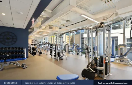 1 Bedroom South Loop Apartment