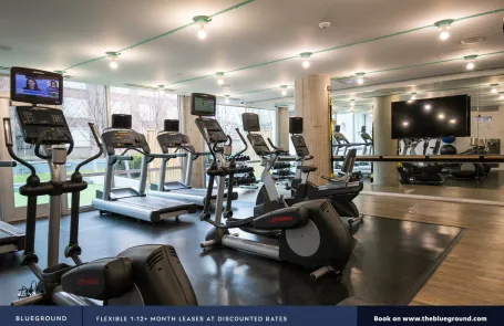 2 Bedroom South Loop Apartment