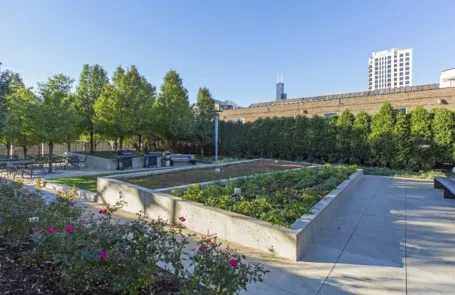 2 Bedroom South Loop Apartment