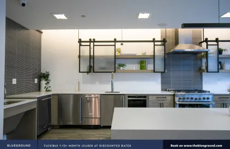 2 Bedroom South Loop Apartment