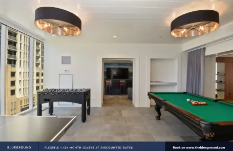 Studio South Loop Apartment