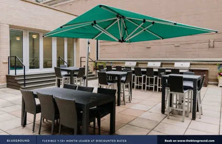 1 Bedroom Streeterville Apartment