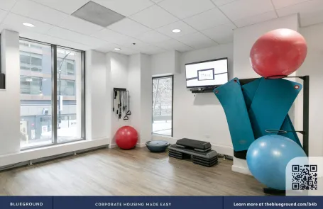 2 Bedroom Streeterville Apartment