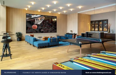 1 Bedroom South Loop Apartment
