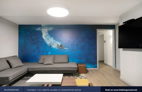 1 Bedroom Streeterville Apartment