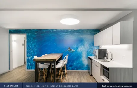 1 Bedroom Streeterville Apartment