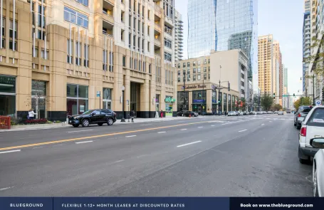 1 Bedroom South Loop Apartment