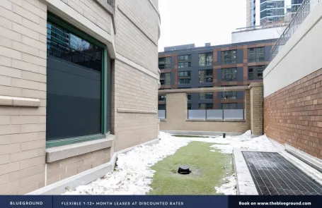 1 Bedroom Streeterville Apartment