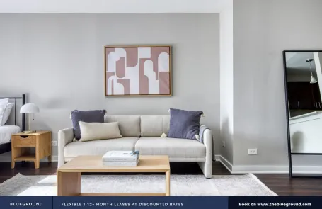 Studio Streeterville Apartment