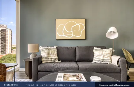 1 Bedroom South Loop Apartment