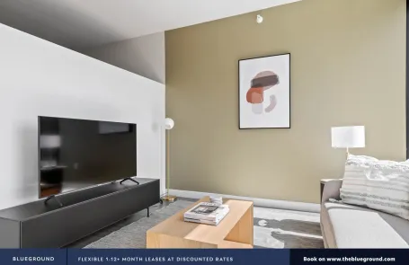 1 Bedroom South Loop Apartment