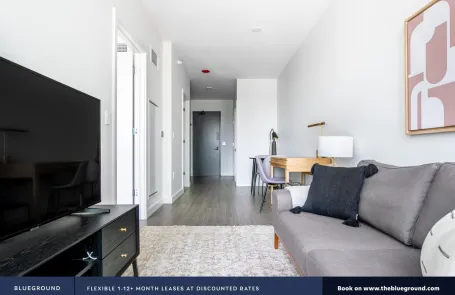 1 Bedroom South Loop Apartment