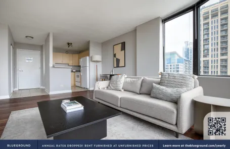 1 Bedroom South Loop Apartment
