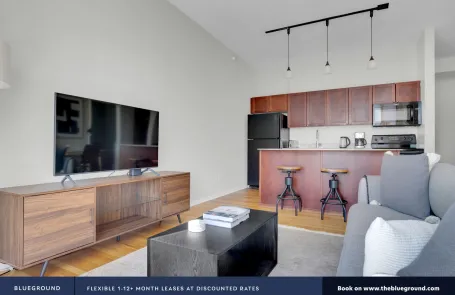 2 Bedroom Chicago Loop Apartment