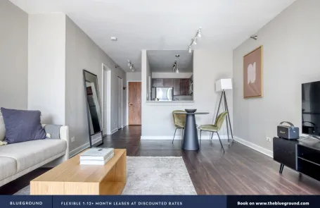 Studio Streeterville Apartment