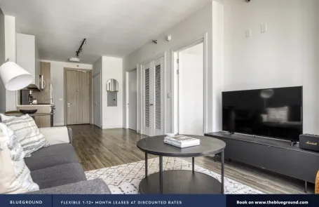 1 Bedroom South Loop Apartment