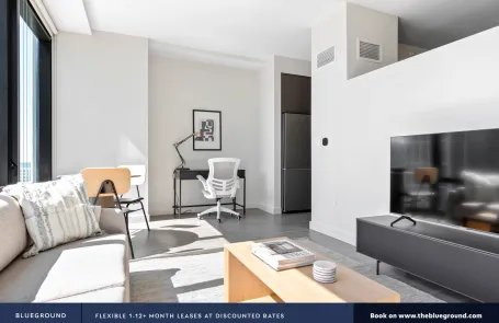 1 Bedroom South Loop Apartment