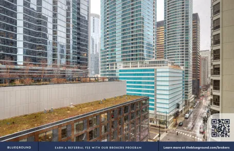 2 Bedroom Streeterville Apartment