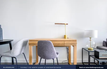 1 Bedroom South Loop Apartment