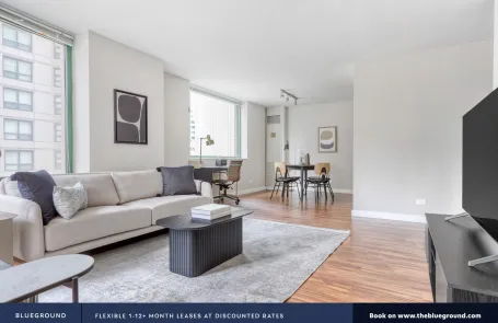 1 Bedroom Streeterville Apartment