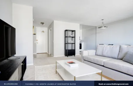 1 Bedroom Lakeview Apartment