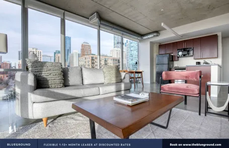 2 Bedroom South Loop Apartment