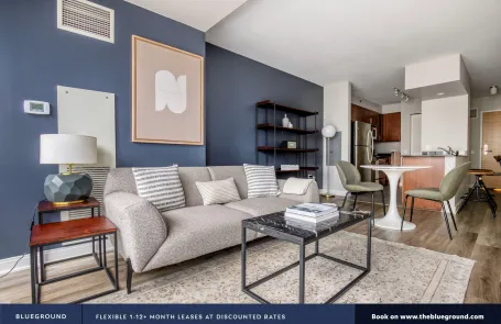 1 Bedroom Chicago Loop Apartment