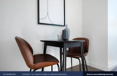 Studio South Loop Apartment